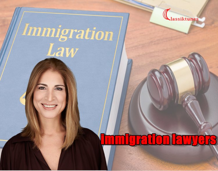 What immigration lawyers want to know & other essential things you will need to know.